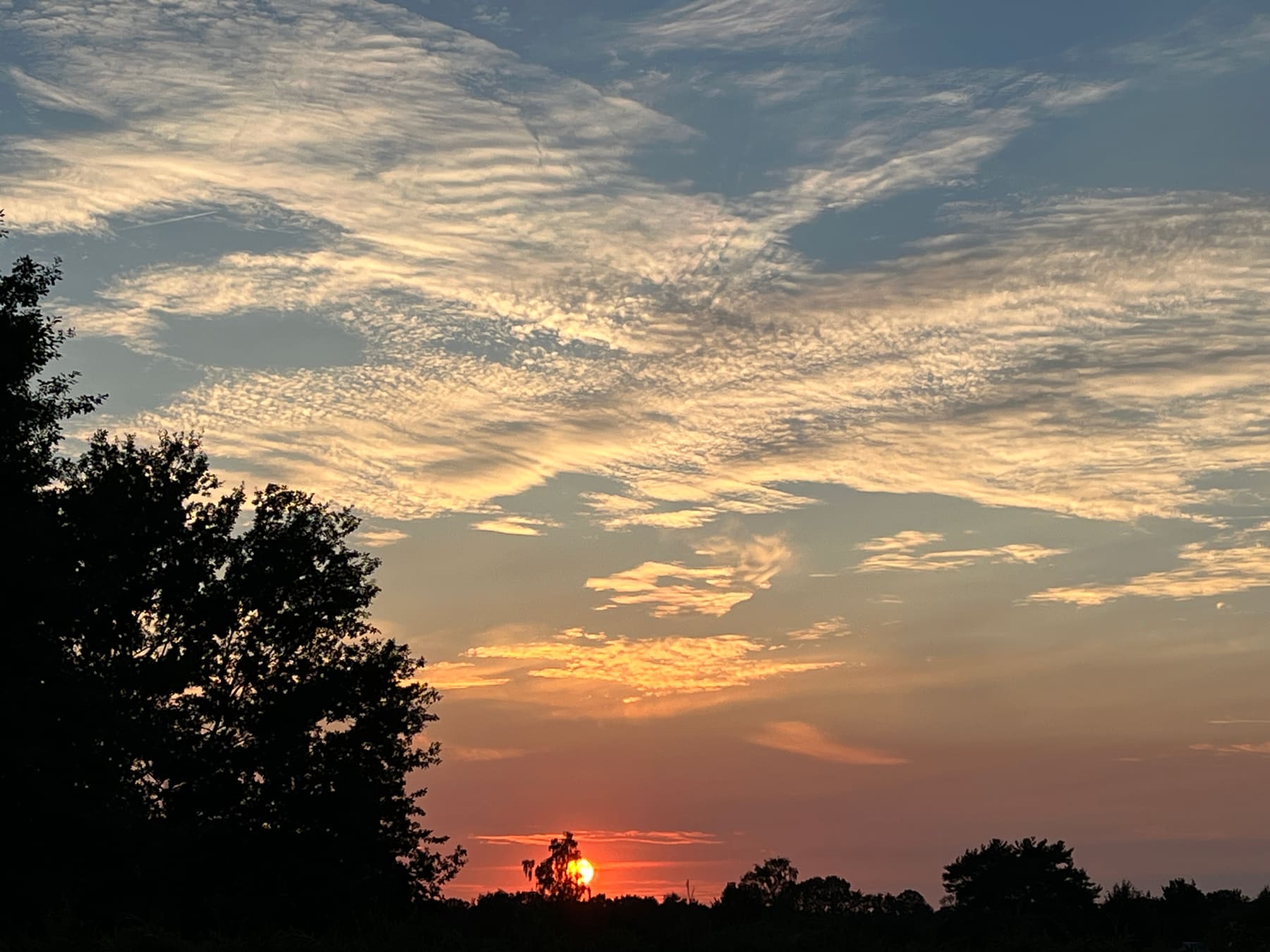 Sonnenuntergang mit dramatischem Wolkenhimmel über Baumsilhouetten